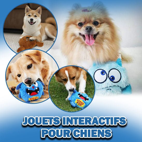 CANINECONNECT™ STIMULATION LUDIQUE POUR CHIEN - AVENIR ESPOIR