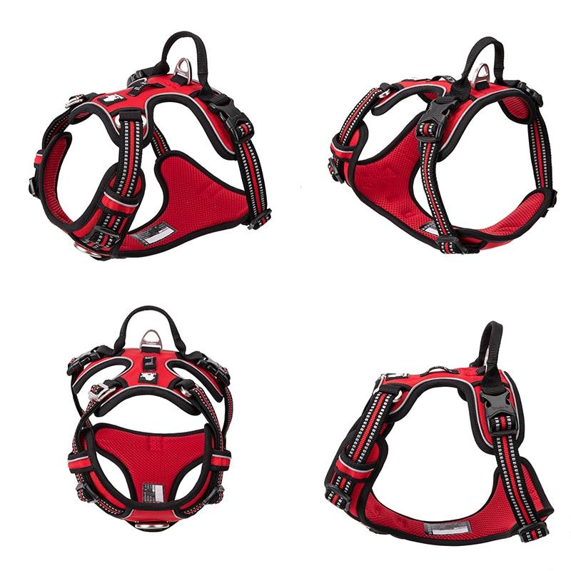 SafetyHarness™ Harnais pour animal de compagnie | Chien - AVENIR ESPOIR