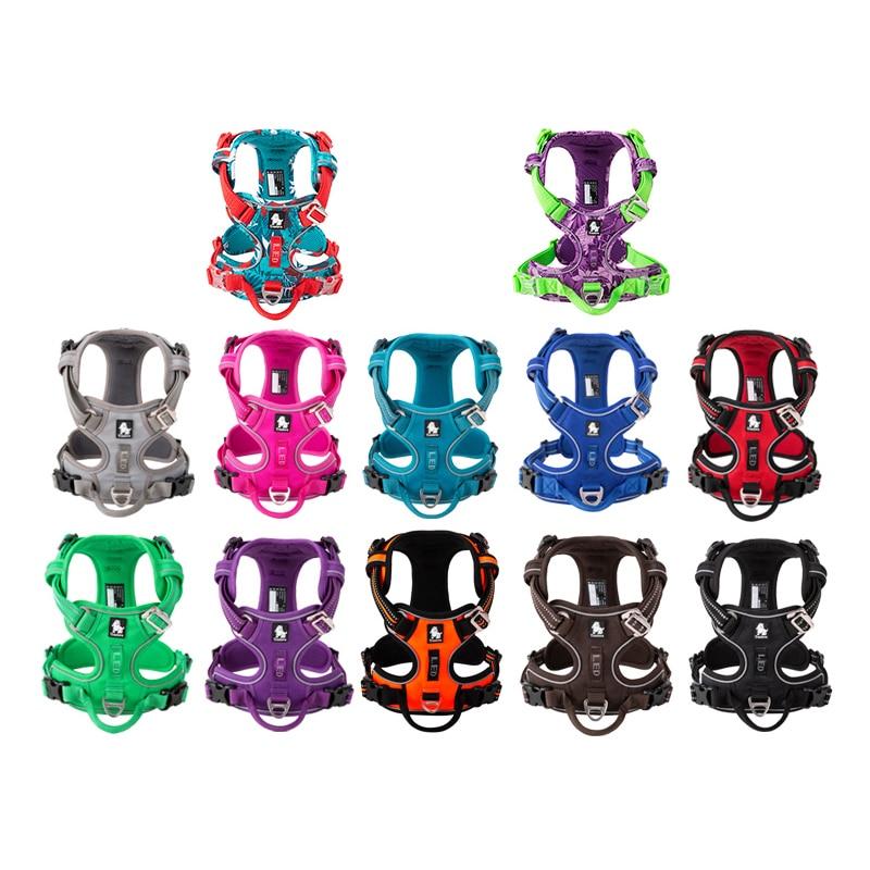 SafetyHarness™ Harnais pour animal de compagnie | Chien - AVENIR ESPOIR