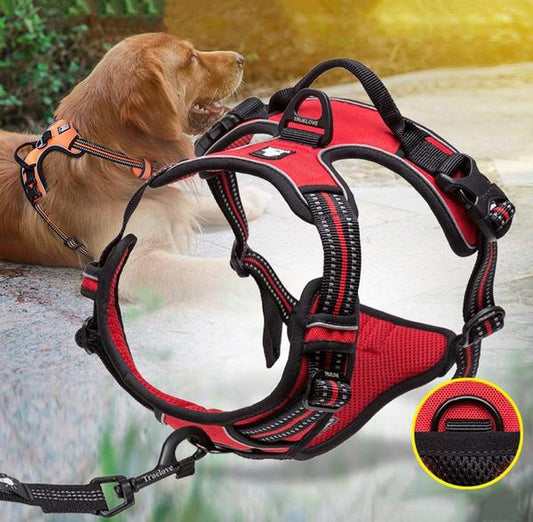 SafetyHarness™ Harnais pour animal de compagnie | Chien - AVENIR ESPOIR